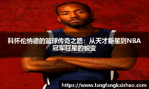 球友会入口